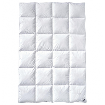 Одеяло Billerbeck E04 Goldedition Mono 155x220 см белый 5542258005