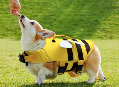Спасательный жилет для собак Derby Bee Design Dog Life Vest, L