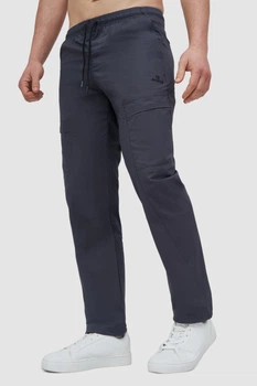 Штани AVECS сірі з технологією Stretch Cotton 50624/17 2XL
