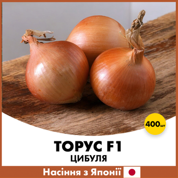 Лук Торус F1, 400 шт, Япония