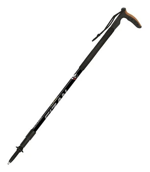 Трекінгові палиці Fizan ( S20 7504 ) CLASSIC FOAM 2023 (8056420782677)