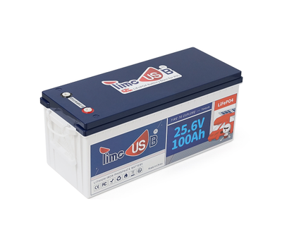 Аккумулятор LiFePO4 25.6V 100Ah 2560Wh BMS 100A Timeusb (38290)