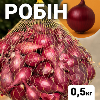 Цибуля сіянка Робін, 0,5 кг, Broer