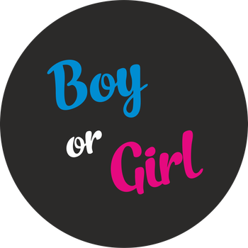 Міні банер артборд 50 см для фотозони Гендер паті Boy or girl