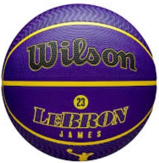 Мяч баскетбольный Wilson NBA PLAYER ICON OUTDOOR BSKT LEBRON NE 7