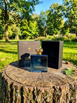 Парфюм Roja Elysium Pour Homme Cologne 100 мл мужские нишевые с цитрусами ветивером и ванилью восточно-древесный аромат