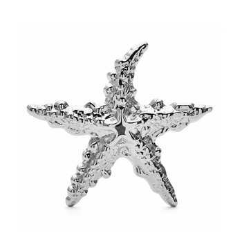 Брошь BROCHE Морская Звезда из стали серебристая BRBF115487