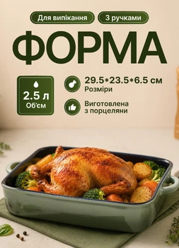 Форма для запікання фарфорова 29.5х23.5х6.5 см прямокутне деко форма для випічки Зелений