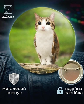 Значок Мявл MEOWL Кіт Птах cat 44 мм подарунковий