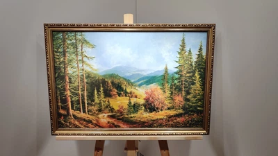 Картина Горный пейзаж в багетной раме 40х60 см. №325