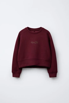 Толстовка з рельєфним написом Zara 2236/711 134см Бордовий (02236711681131)