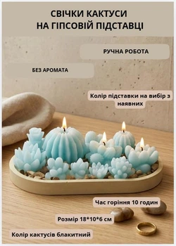 Свечки парафиновые Кактусы набор свечей декоративных "Сукуленты" голубой на овальной гипсовой подставке
