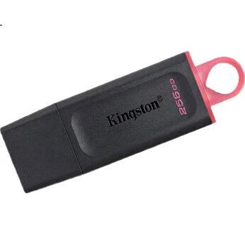 Флеш память USB Kingston DataTraveler Exodia 256GB USB 3.2 Gen1 принт панда