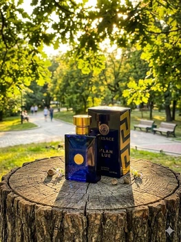 Парфюм Versace Dylan Blue 100 мл мужской с бергамотом амброксаном и бобами тонка свежий аромат