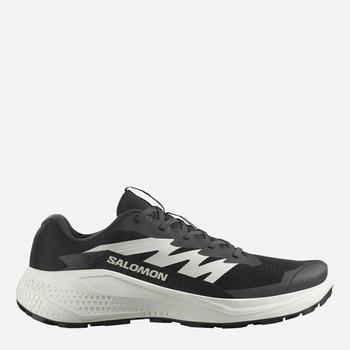 Кросівки Salomon ALPHAGLIDE 45.5 (10,5 UK) 29 см чорний s478010