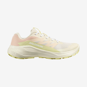 Кросівки Salomon ALPHAGLIDE W 42 (8 UK) 27 см бежевий s490927