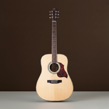 Акустическая гитара Virginia VD210S