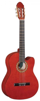 Классическая гитара MAXTONE CGC3910C