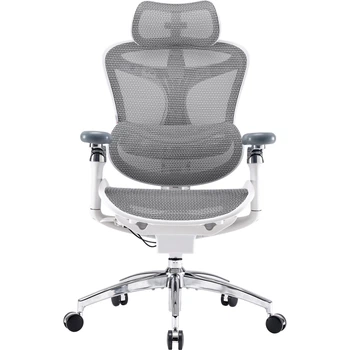 Офисное кресло Sihoo DORO C300 Pro Mesh White