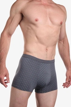 Трусы мужские шорты Sergio Dallini SG2911-2, серый, XL