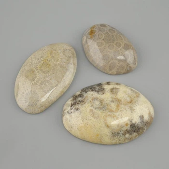 Кабошон из ископаемого коралла 29-30×24-49 мм ± (ассортимент размеров), ida26523