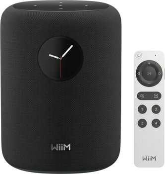 Акустическая система WiiM Sound Black with EU Plug (WIIMSB)