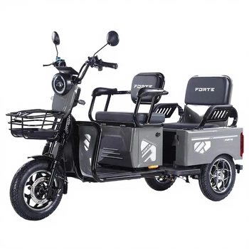 Трицикл аккумуляторный Forte CARGO-WN1072G Серый