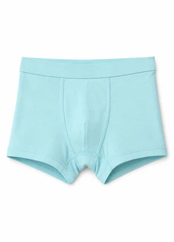 Трусы из хлопка H&M 785948c66 110-116см голубые (100013093)