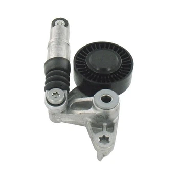Натяжитель ремня SKF (VKM31300)
