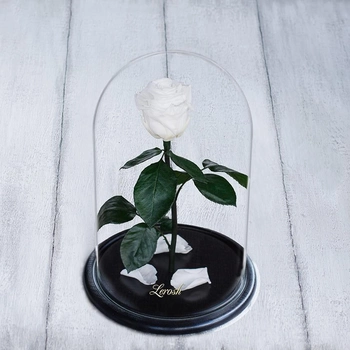 Стабилизированная роза в колбе Lerosh - Standart 33 см, Белый