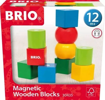 Klocki magnetyczne Brio 10 elementów (7312350304350)