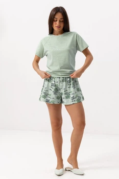 Піжама (футболка + шорти) жіноча бавовняна BARWA garments 0400/381 S Фісташкова (2114003811148)