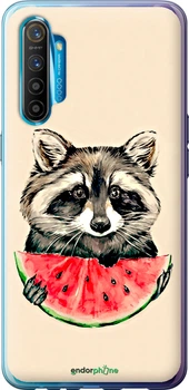 Чехол на Realme XT Енотик с арбузом "4605u-1868-70447"