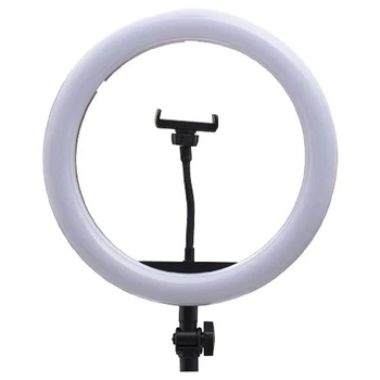 Лампа Fill Light QX-330, Черный - 429289