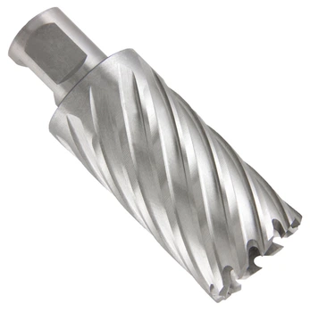 Фреза кольцевая PROFITOOL 30х55 мм, M35 HSS-Co, хвостовик WELDON 19 мм (413055M35)