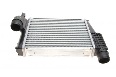 Радиатор интеркулера Citroen Jumpy III/Peugeot Expert 1.6/2.0BlueHDi 16- 309077, NRF