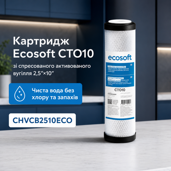 Змінний елемент Ecosoft 10 дюймів із брикетованим активованим вугіллям для видалення органіки та механіки