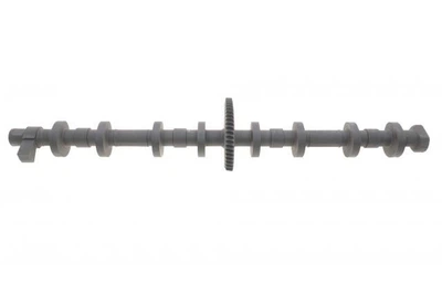 Вал эксцентриковый BMW 5 (F10) (N20) 12-16 106005 , Solgy