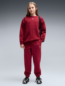 Детский теплый спортивный костюм (свитшот + штаны) для девочки Puma 68972723 122-128 см Garnet Glow (4070033459218)