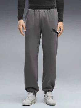 Спортивные штаны утеплённые мужские Puma Sport Street 69431934 XL Moody Gray (4070033384947)