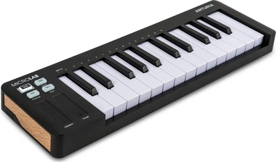 MIDI-клавиатура Arturia MicroLab mk3 Black + Analog Lab V (25-05-12-03)