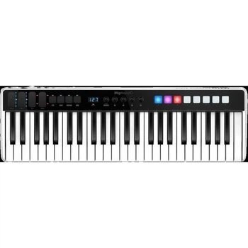 MIDI-клавиатура IK Multimedia iRig Keys I/O 49 (35614)
