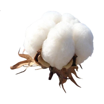 PurCotton [Выбор Сунь Инша], салфетки для очищения лица, 100 листов*6 упаковок, одноразовые мягкие полотенца из 100% хлопка, 15*20 см