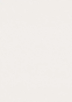Лист Clairefontaine Pastelmat White (Білий), 29,7 х42 см (A3), 5 шт