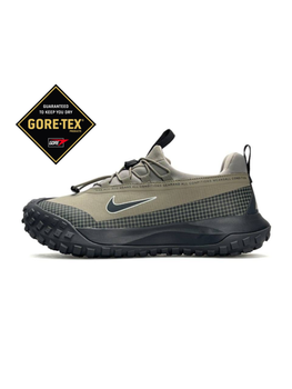 Кросівки ACG Mountain Fly Low GTX Olive Grey (45) А4677-1263756
