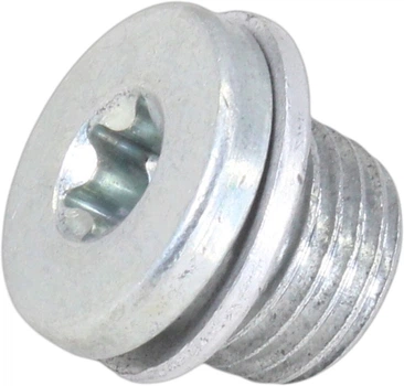 Пробка піддона VW Passat з14р.в. (Swag) 30100496 SWAG (30100496)