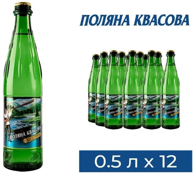 Упаковка минеральной газированной воды «Поляна Квасова» 0,5 л × 12 бутылок [4820001830033]