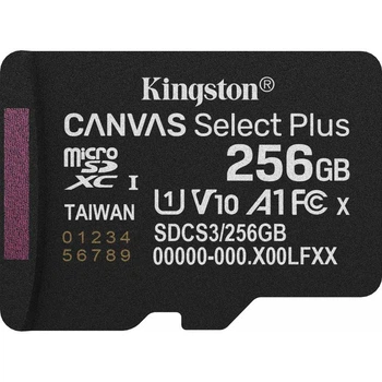 Карта пам"яті Kingston 256GB microSDXC class 10 UHS-I U1 V10 A1 Select Plus (SDCS3/256GBSP)