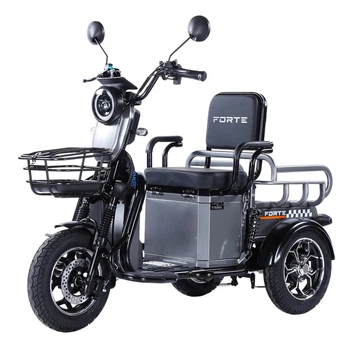 Трицикл аккумуляторный Forte CARGO-WN1072 Серый