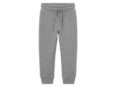 Спортивні штани джоггери з начосом для хлопчика Lupilu LYCRA® 451193 110-116 см (4-6 years) сірий